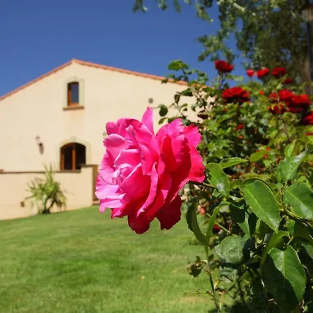 Le Ginestre